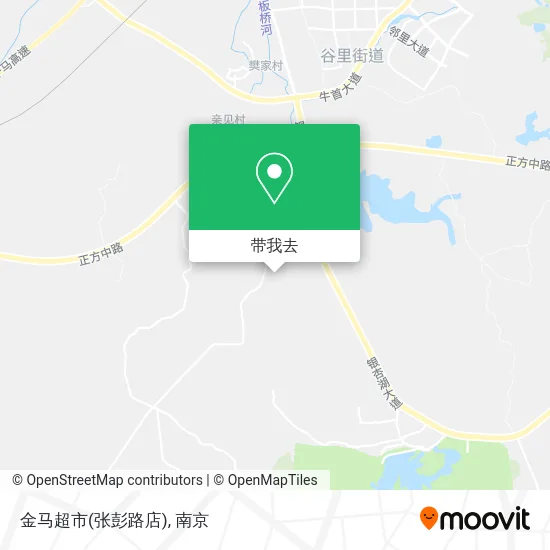 金马超市(张彭路店)地图