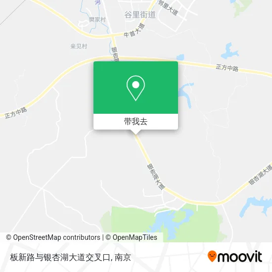板新路与银杏湖大道交叉口地图