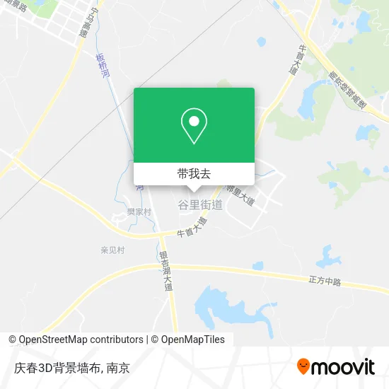 庆春3D背景墙布地图