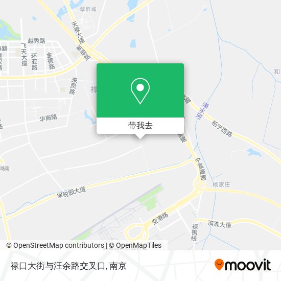 禄口大街与汪余路交叉口地图