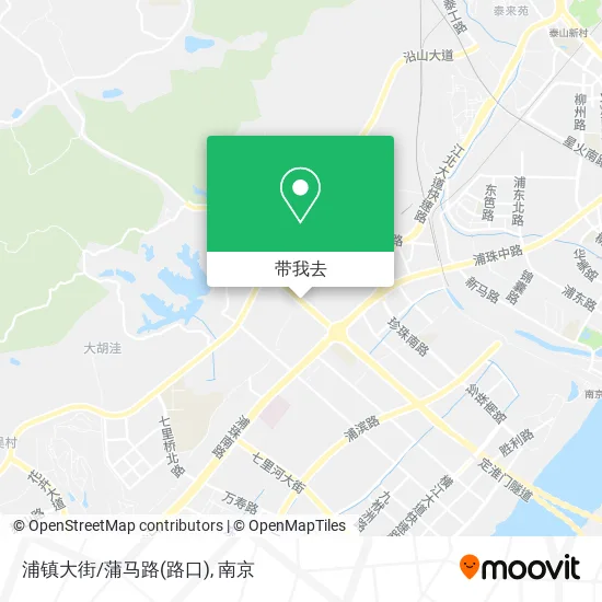 浦镇大街/蒲马路(路口)地图