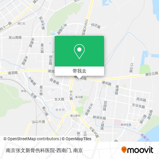 南京张文新骨伤科医院-西南门地图