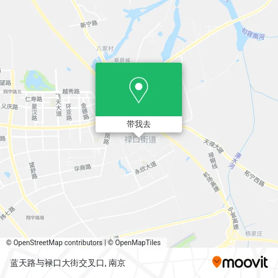 蓝天路与禄口大街交叉口地图