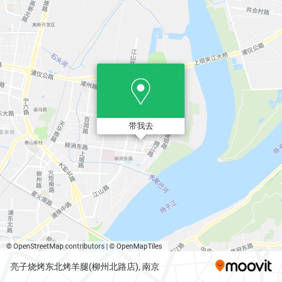 亮子烧烤东北烤羊腿(柳州北路店)地图
