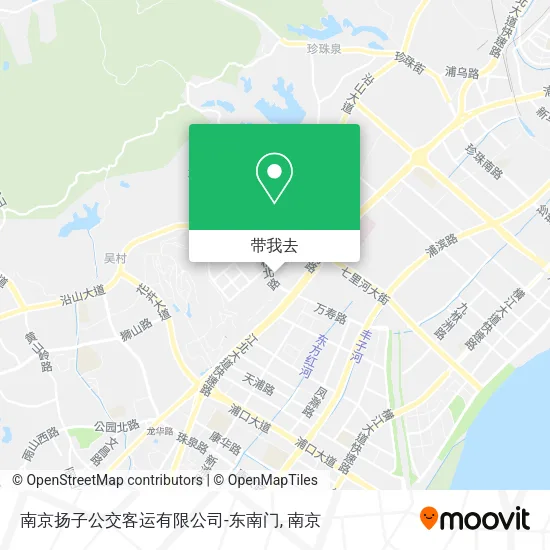 南京扬子公交客运有限公司-东南门地图