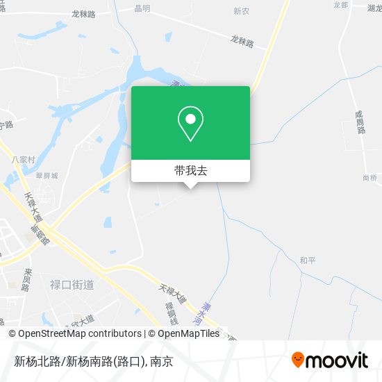 新杨北路/新杨南路(路口)地图