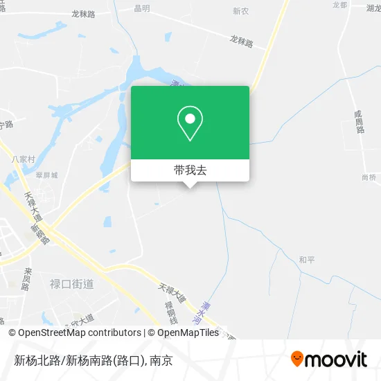新杨北路/新杨南路(路口)地图