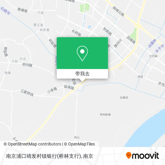 南京浦口靖发村镇银行(桥林支行)地图