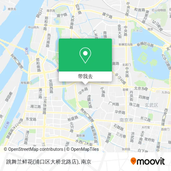 跳舞兰鲜花(浦口区大桥北路店)地图