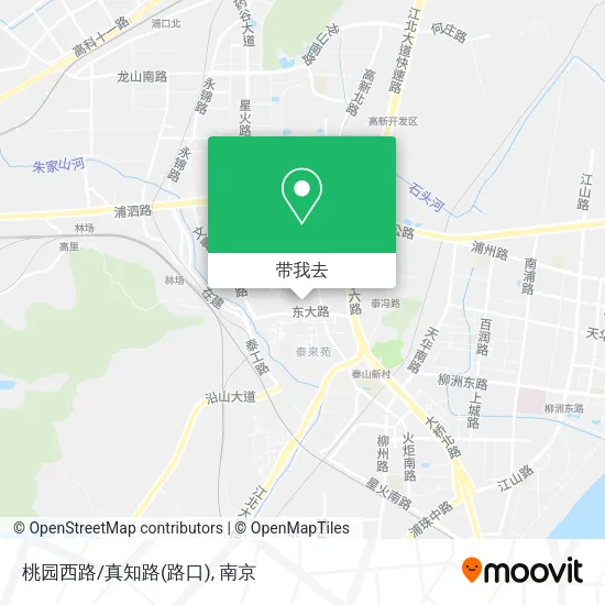 桃园西路/真知路(路口)地图