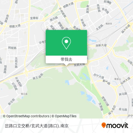 岔路口立交桥/玄武大道地图