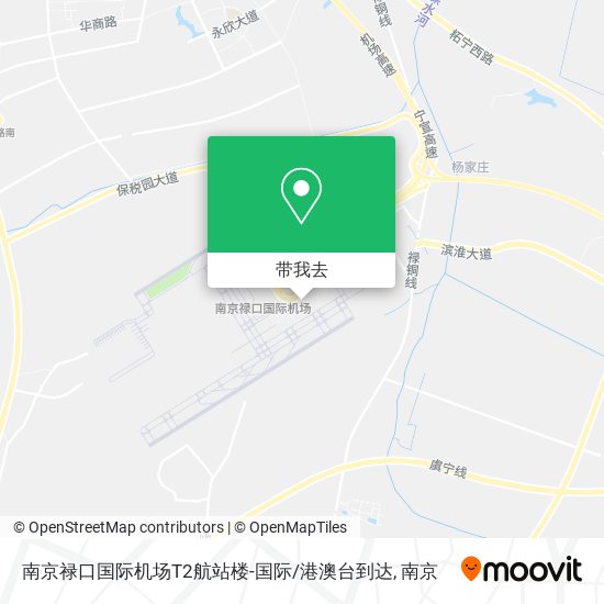 南京禄口国际机场T2航站楼-国际/港澳台到达地图