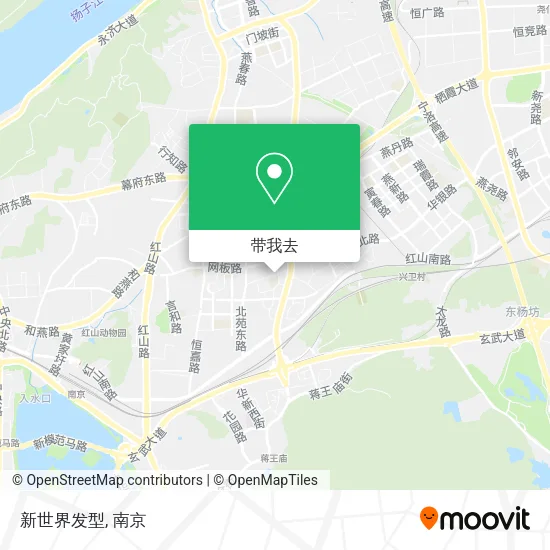 新世界发型地图