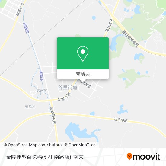 金陵瘦型百味鸭(邻里南路店)地图