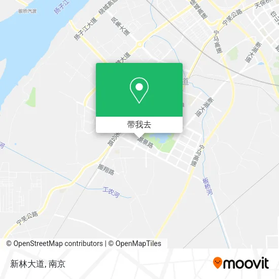 新林大道地图