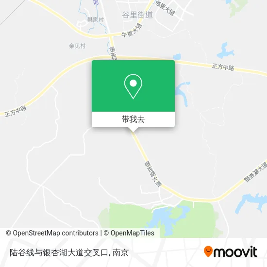 陆谷线与银杏湖大道交叉口地图