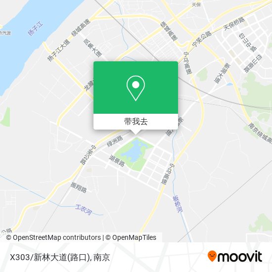 X303/新林大道(路口)地图