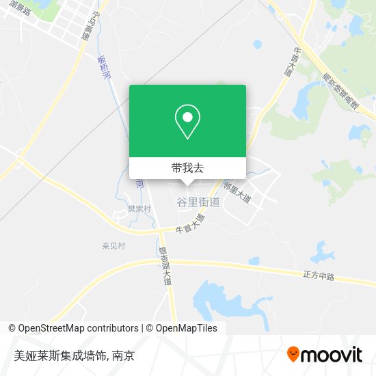 美娅莱斯集成墙饰地图
