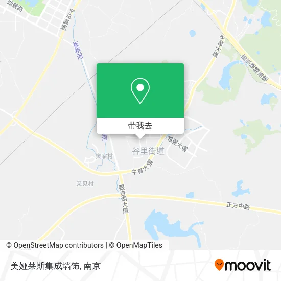 美娅莱斯集成墙饰地图