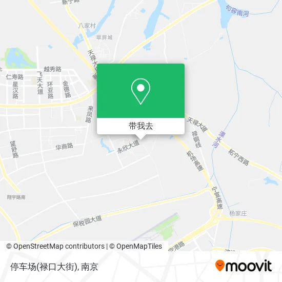 停车场(禄口大街)地图