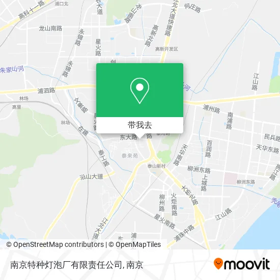 南京特种灯泡厂有限责任公司地图