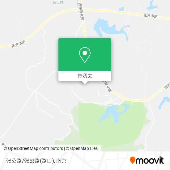 张公路/张彭路(路口)地图