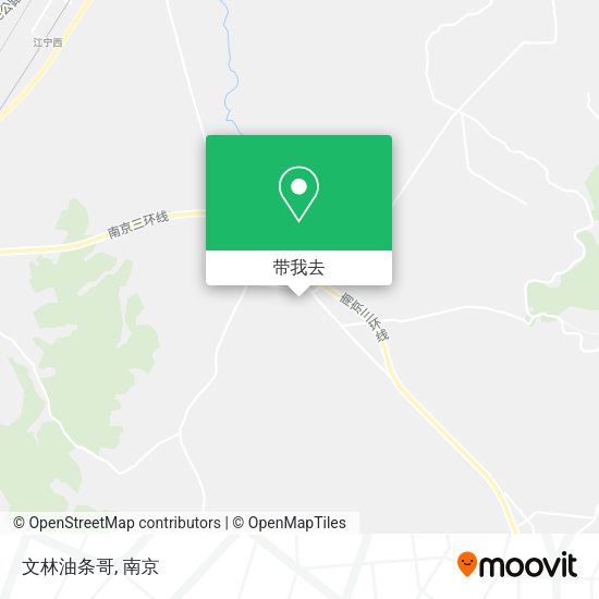 文林油条哥地图