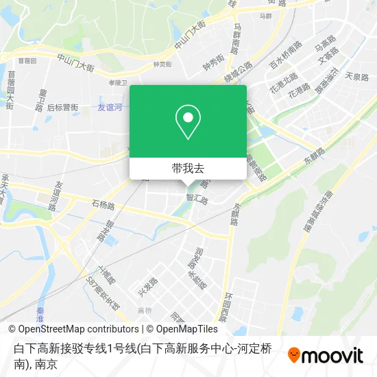 白下高新接驳专线1号线(白下高新服务中心-河定桥南)地图