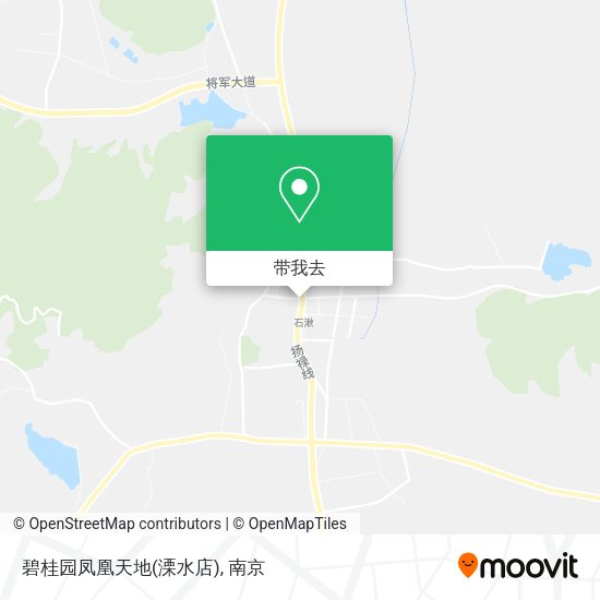 碧桂园凤凰天地(溧水店)地图