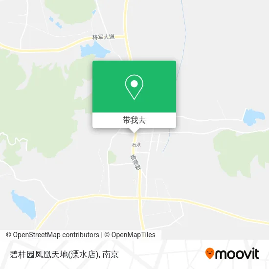 碧桂园凤凰天地(溧水店)地图