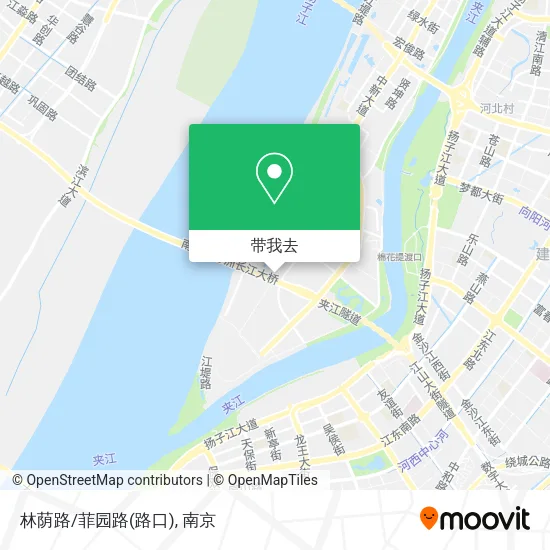林荫路/菲园路(路口)地图