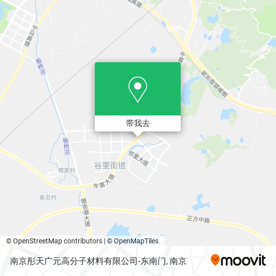 南京彤天广元高分子材料有限公司-东南门地图
