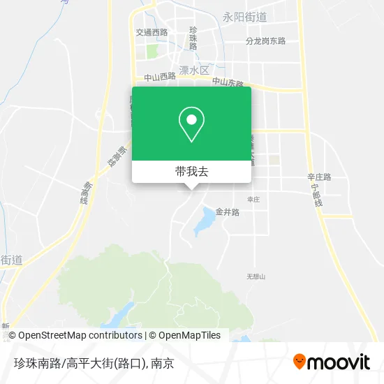 珍珠南路/高平大街(路口)地图