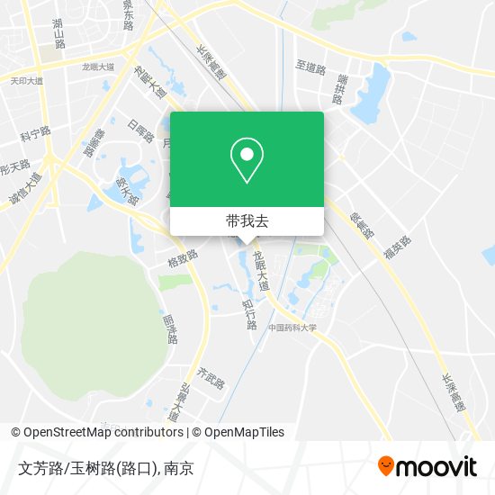 文芳路/玉树路(路口)地图
