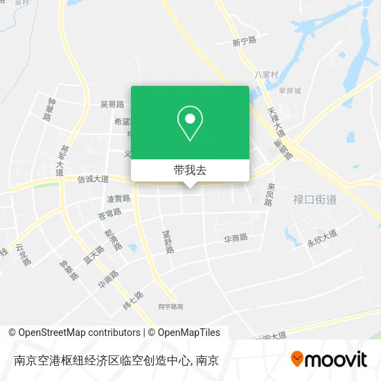 南京空港枢纽经济区临空创造中心地图