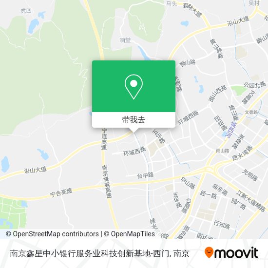 南京鑫星中小银行服务业科技创新基地-西门地图