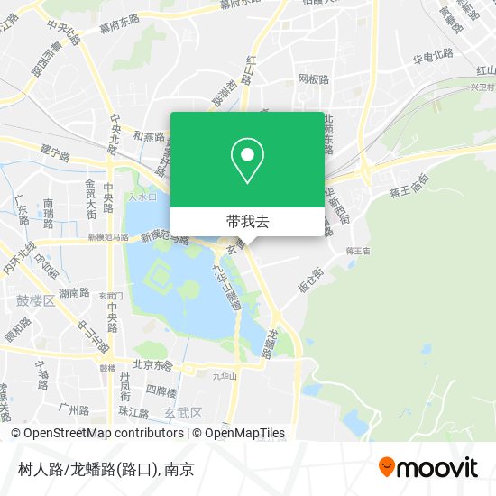 树人路/龙蟠路(路口)地图