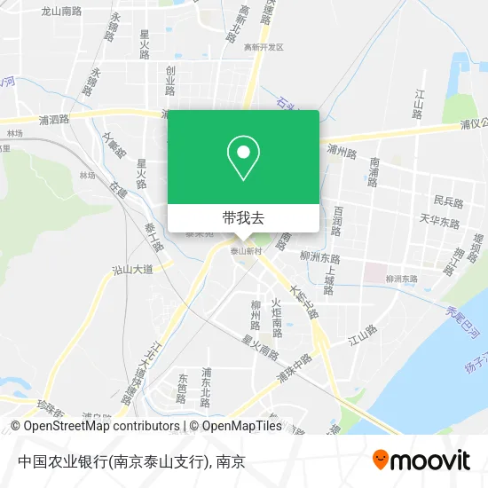 中国农业银行(南京泰山支行)地图