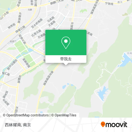 西林耀南地图
