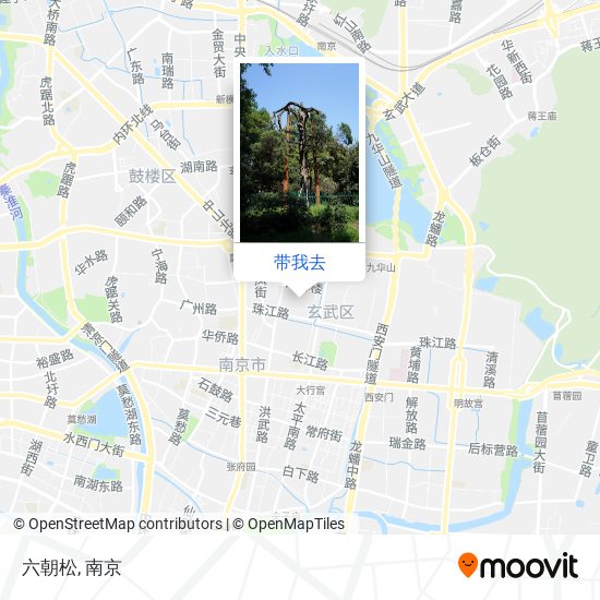 六朝松地图