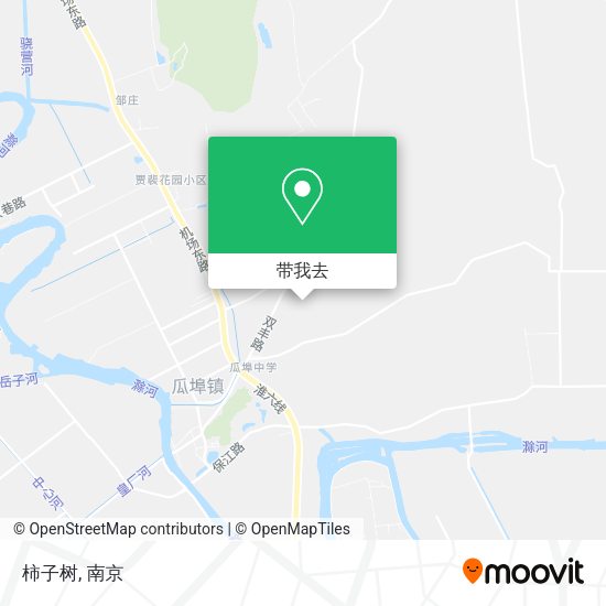 柿子树地图