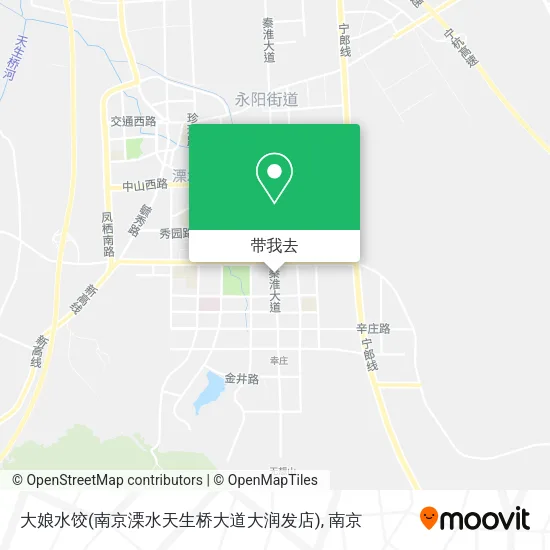 大娘水饺(南京溧水天生桥大道大润发店)地图