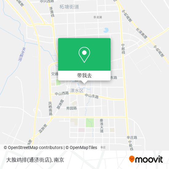 大脸鸡排(通济街店)地图