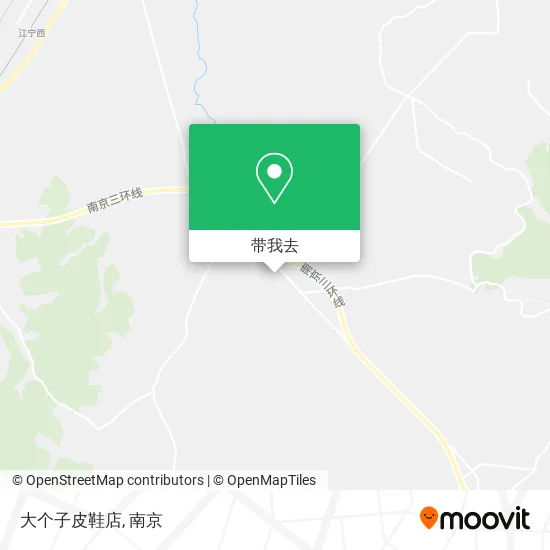 大个子皮鞋店地图