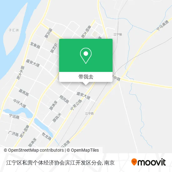 江宁区私营个体经济协会滨江开发区分会地图
