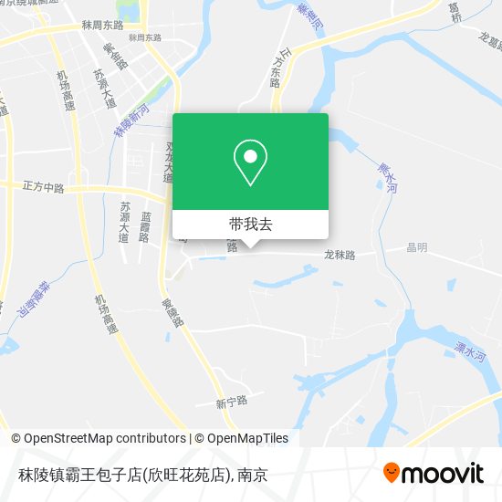 秣陵镇霸王包子店(欣旺花苑店)地图
