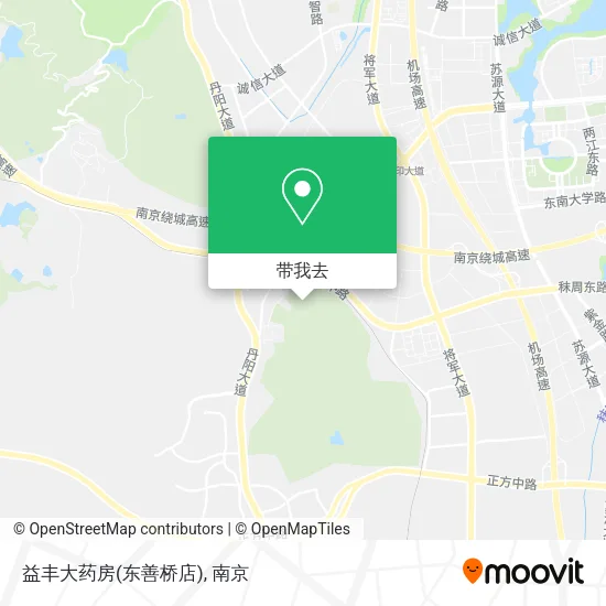 益丰大药房(东善桥店)地图