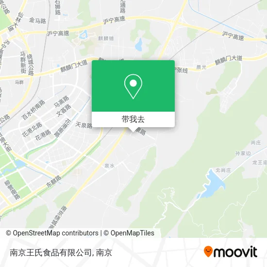 南京王氏食品有限公司地图