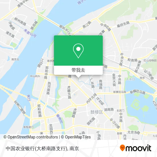 中国农业银行(大桥南路支行)地图