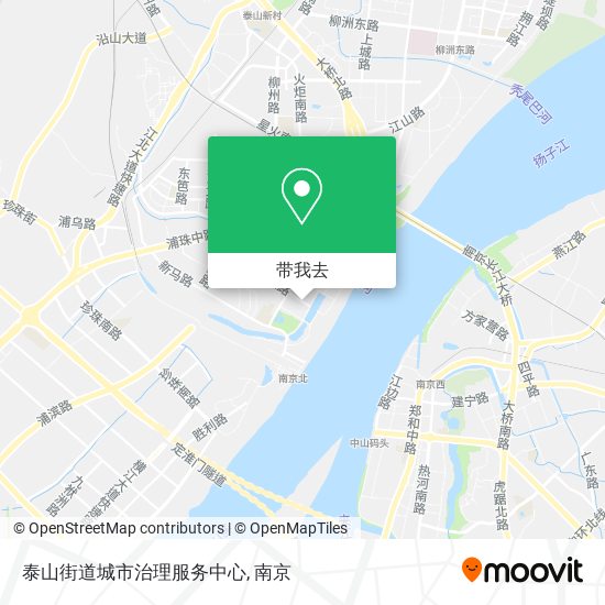 泰山街道城市治理服务中心地图